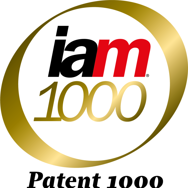 IAM Patent 1000