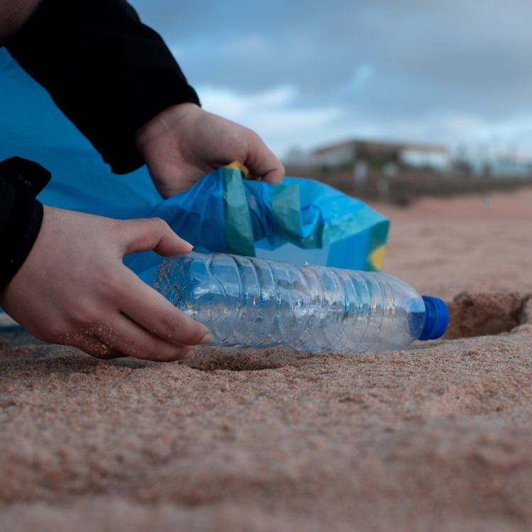 CSR beach cleanup