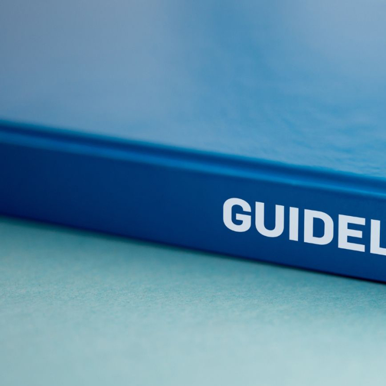 guidelines