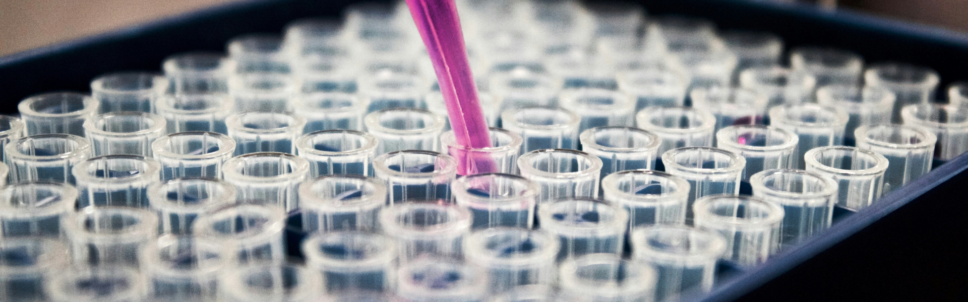 Opportunities for the treatment of rare diseases with already available medicines 